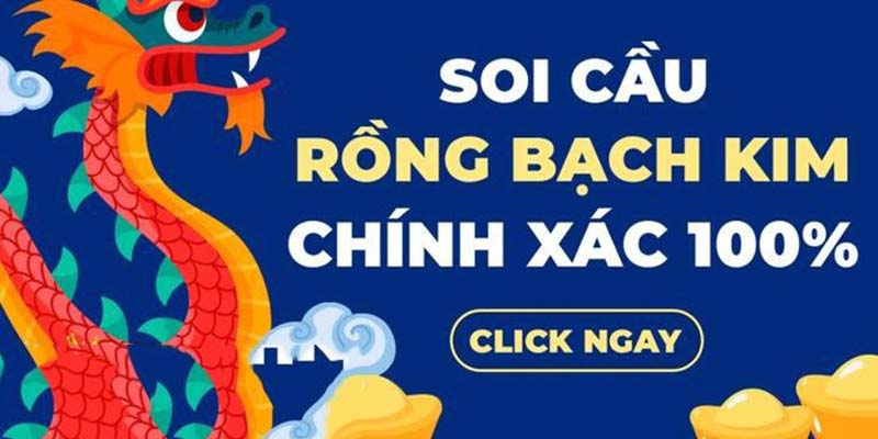 Những điều cần biết về soi cầu Rồng Bạch Kim