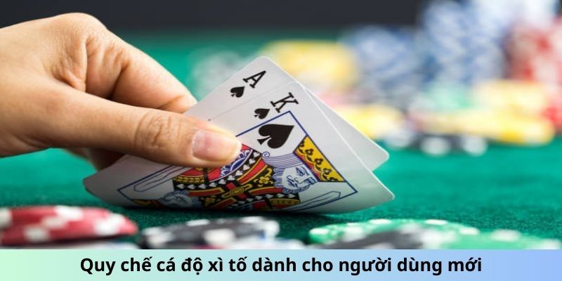 Quy chế cá độ xì tố dành cho người dùng mới